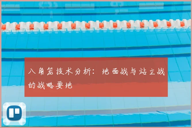 八角笼技术分析:地面战与站立战的战略要地