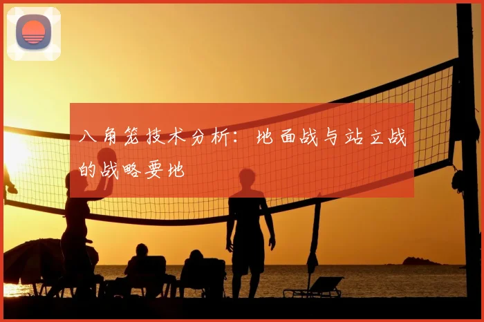 八角笼技术分析:地面战与站立战的战略要地