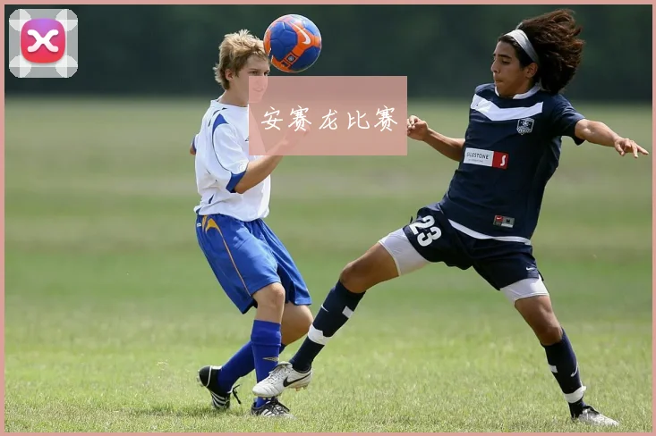 安赛龙比赛
