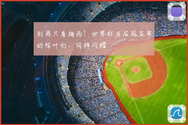 别再只看梅西!世界杯历届冠亚军的绿叶们,同样闪耀