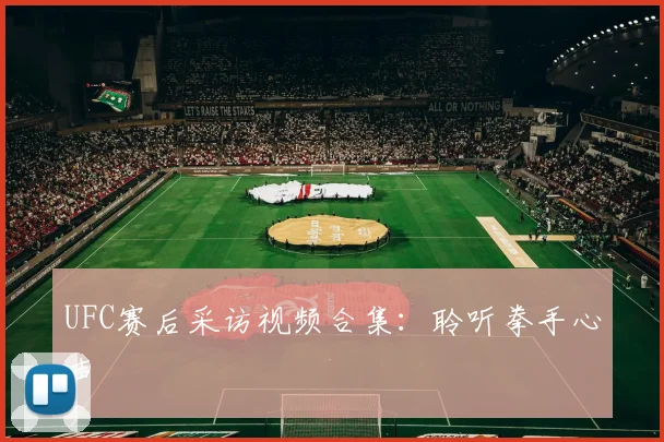 UFC赛后采访视频合集:聆听拳手心声