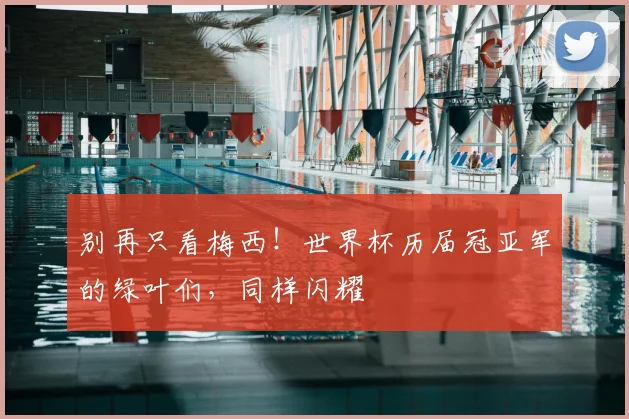 别再只看梅西!世界杯历届冠亚军的绿叶们,同样闪耀